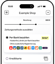 Brite Instant Payments